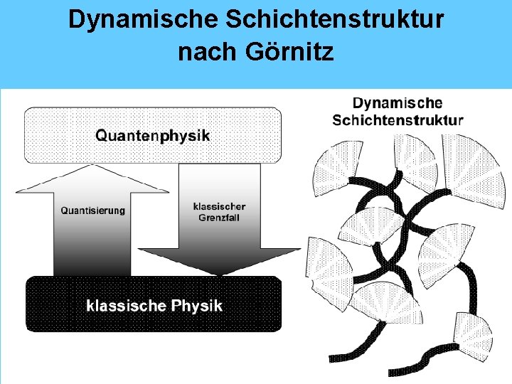Dynamische Schichtenstruktur nach Görnitz 