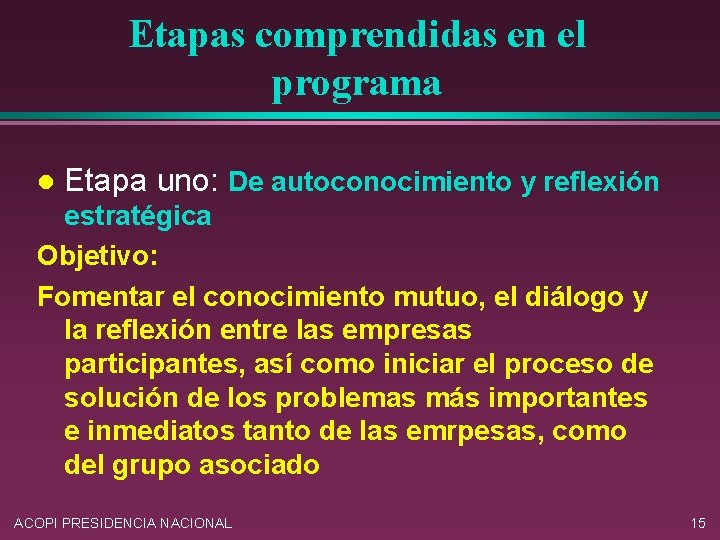 Etapas comprendidas en el programa l Etapa uno: De autoconocimiento y reflexión estratégica Objetivo: