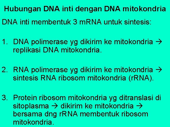 Hubungan DNA inti dengan DNA mitokondria DNA inti membentuk 3 m. RNA untuk sintesis: