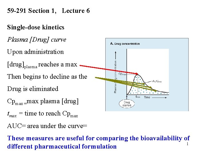 59 -291 Section 1, Lecture 6 Single-dose kinetics Plasma [Drug] curve Upon administration [drug]plasma