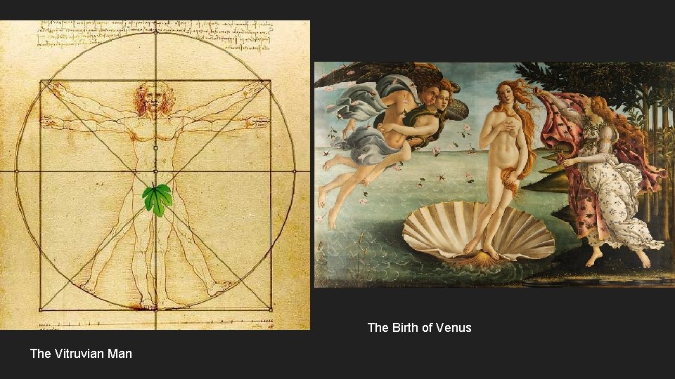 The Birth of Venus The Vitruvian Man 