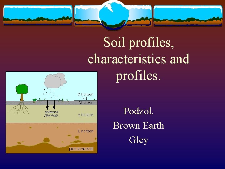 Soil profiles, characteristics and profiles. Podzol. Brown Earth Gley 