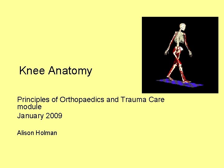Knee Anatomy Principles of Orthopaedics and Trauma Care module January 2009 Alison Holman 