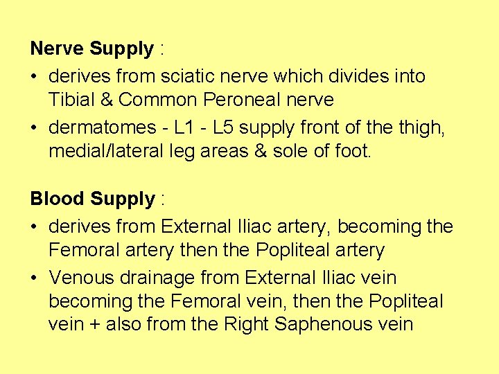 Nerve Supply : • derives from sciatic nerve which divides into Tibial & Common