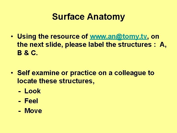 Surface Anatomy • Using the resource of www. an@tomy. tv, on the next slide,