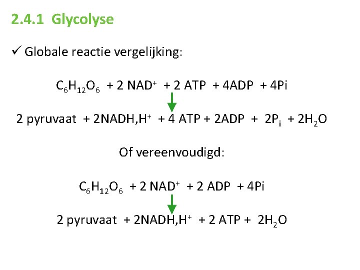 2. 4. 1 Glycolyse ü Globale reactie vergelijking: C 6 H 12 O 6