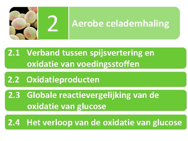 2 Aerobe celademhaling 2. 1 Verband tussen spijsvertering en oxidatie van voedingsstoffen 2. 2