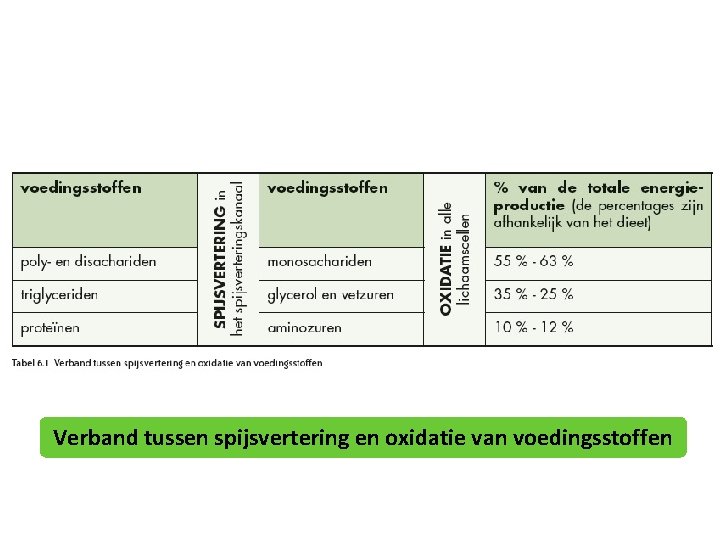 Verband tussen spijsvertering en oxidatie van voedingsstoffen 