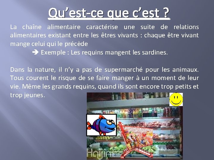 Qu’est-ce que c’est ? La chaîne alimentaire caractérise une suite de relations alimentaires existant