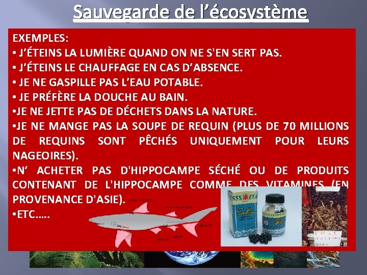 Sauvegarde de l’écosystème • EXEMPLES: Il est donc essentiel de sauvegarder toutes les espèces