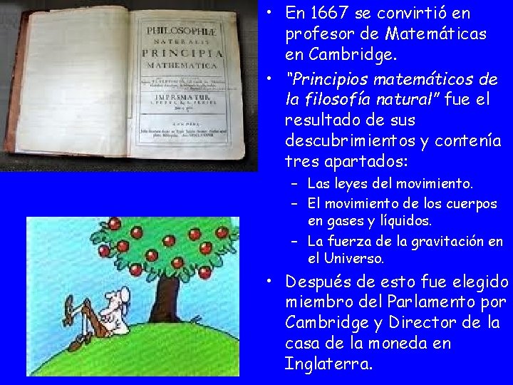  • En 1667 se convirtió en profesor de Matemáticas en Cambridge. • “Principios