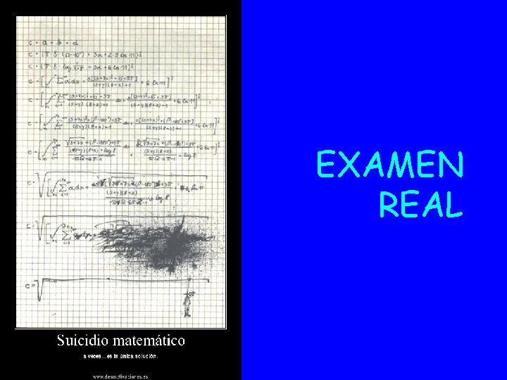 EXAMEN REAL 