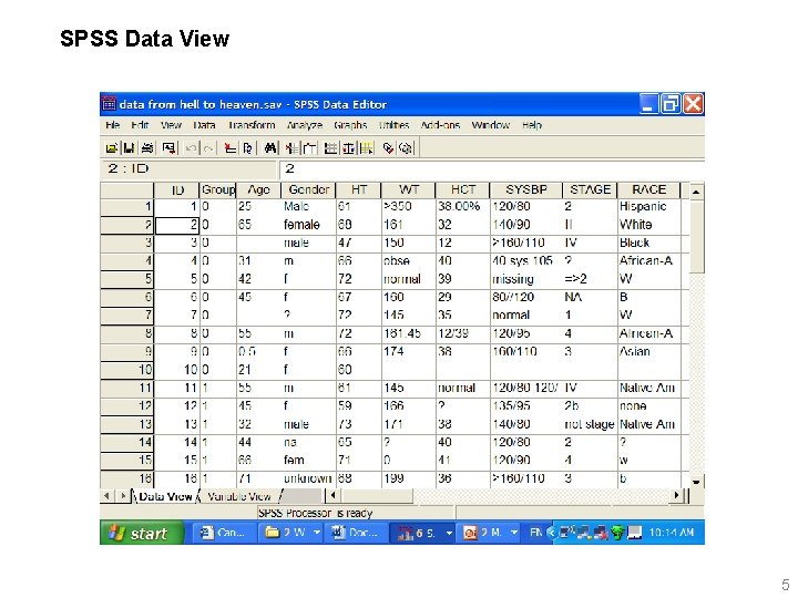 SPSS Data View 5 