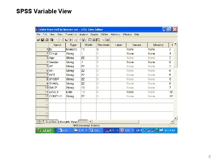 SPSS Variable View 6 