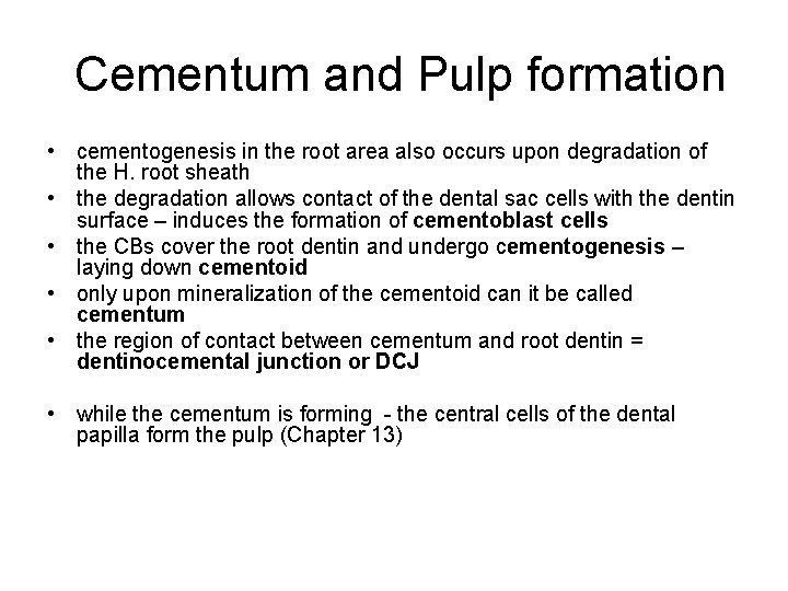 Cementum and Pulp formation • cementogenesis in the root area also occurs upon degradation