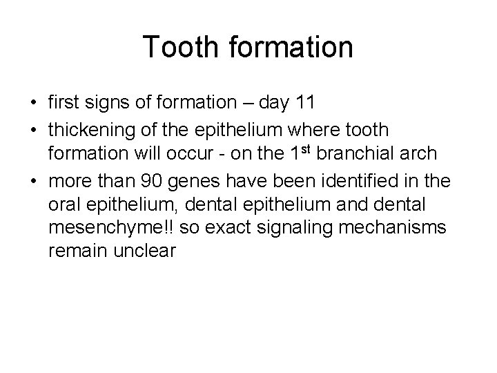 Tooth formation • first signs of formation – day 11 • thickening of the