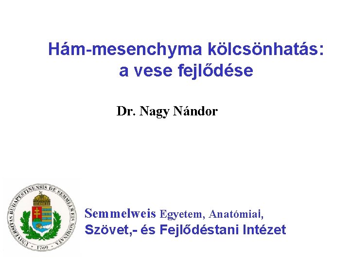 Hám-mesenchyma kölcsönhatás: a vese fejlődése Dr. Nagy Nándor Semmelweis Egyetem, Anatómiai, Szövet, - és