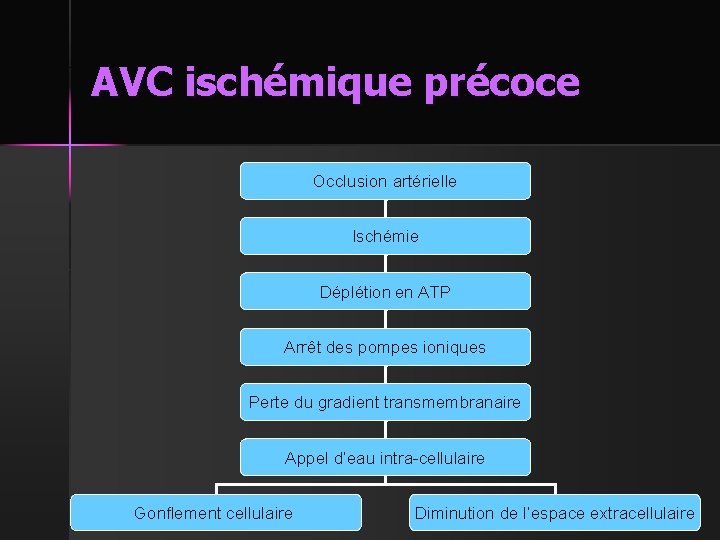AVC ischémique précoce Occlusion artérielle Ischémie Déplétion en ATP Arrêt des pompes ioniques Perte
