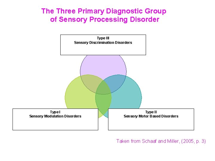 The Three Primary Diagnostic Group of Sensory Processing Disorder Type III Sensory Discrimination Disorders