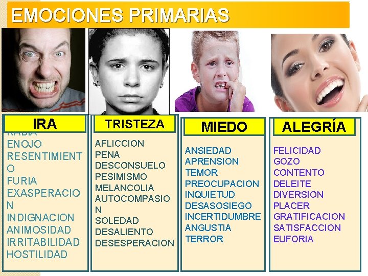 EMOCIONES PRIMARIAS IRA RABIA ENOJO RESENTIMIENT O FURIA EXASPERACIO N INDIGNACION ANIMOSIDAD IRRITABILIDAD HOSTILIDAD