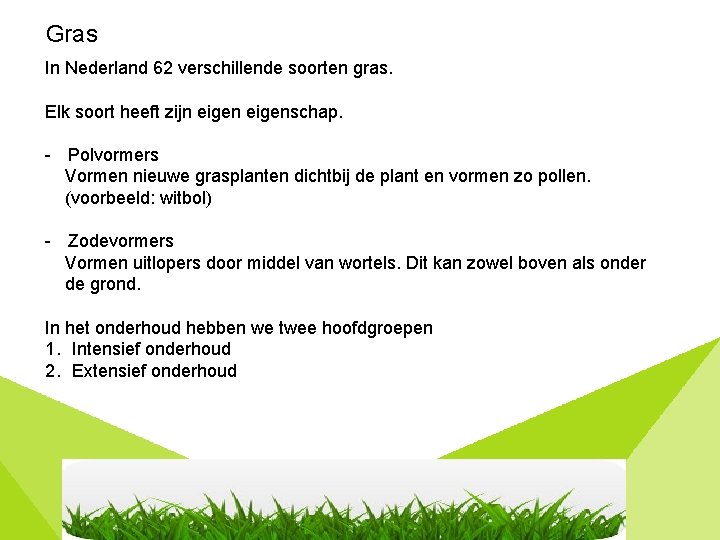 Gras In Nederland 62 verschillende soorten gras. Elk soort heeft zijn eigenschap. - Polvormers