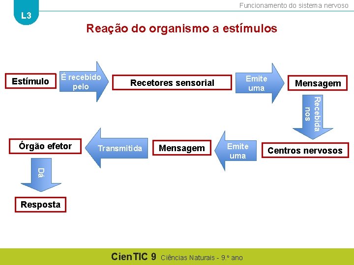 Funcionamento do sistema nervoso L 3 Reação do organismo a estímulos Estímulo É recebido