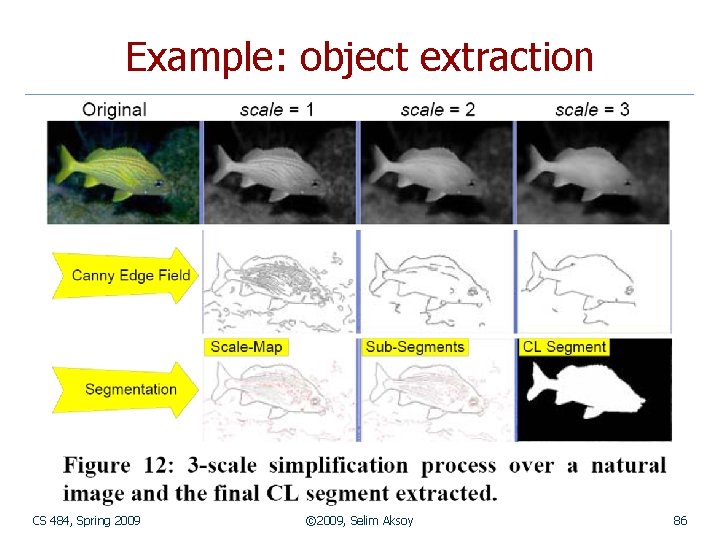 Example: object extraction CS 484, Spring 2009 © 2009, Selim Aksoy 86 