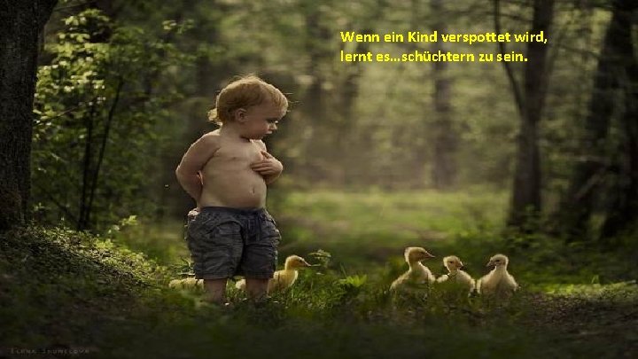 Wenn ein Kind verspottet wird, lernt es…schüchtern zu sein. 