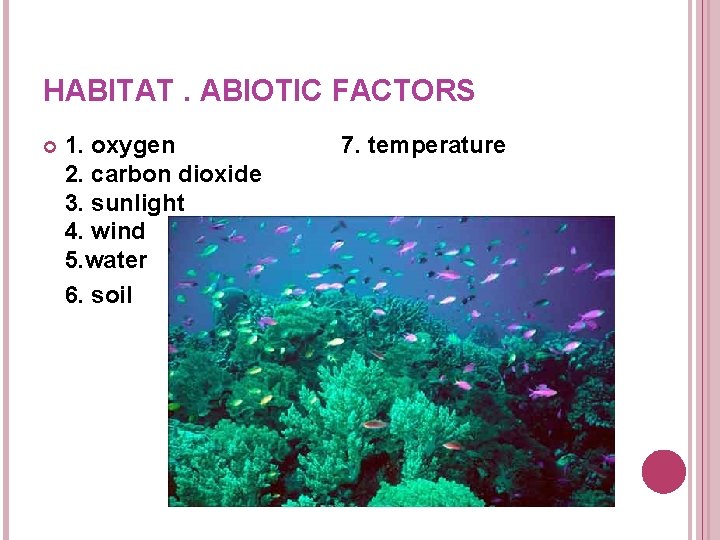 HABITAT. ABIOTIC FACTORS 1. oxygen 2. carbon dioxide 3. sunlight 4. wind 5. water HABITAT. ABIOTIC FACTORS 1. oxygen 2. carbon dioxide 3. sunlight 4. wind 5. water