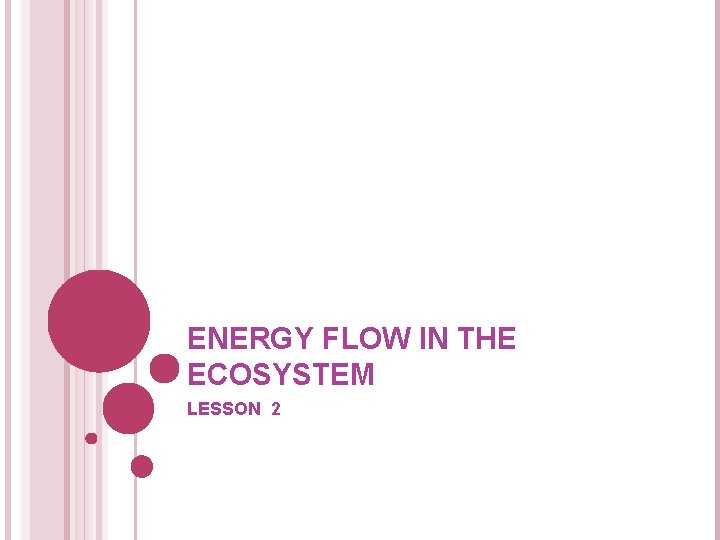 ENERGY FLOW IN THE ECOSYSTEM LESSON 2 ENERGY FLOW IN THE ECOSYSTEM LESSON 2