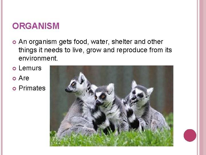 ORGANISM An organism gets food, water, shelter and other things it needs to live, ORGANISM An organism gets food, water, shelter and other things it needs to live,