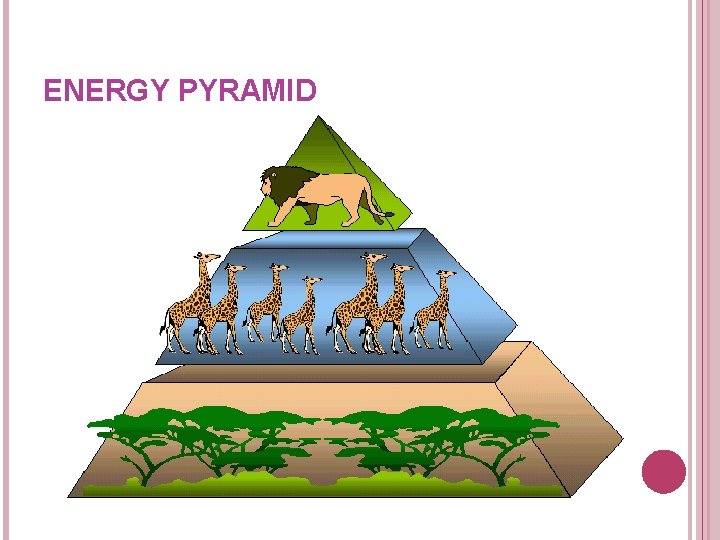 ENERGY PYRAMID ENERGY PYRAMID