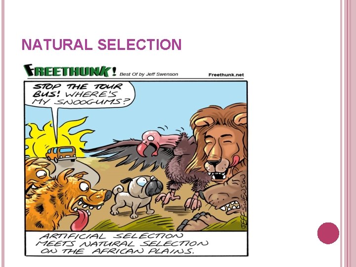 NATURAL SELECTION NATURAL SELECTION