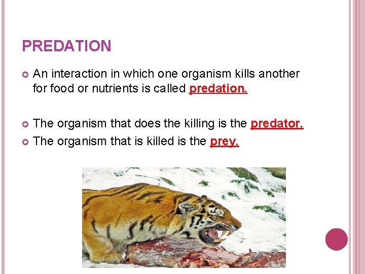 PREDATION An interaction in which one organism kills another food or nutrients is called PREDATION An interaction in which one organism kills another food or nutrients is called