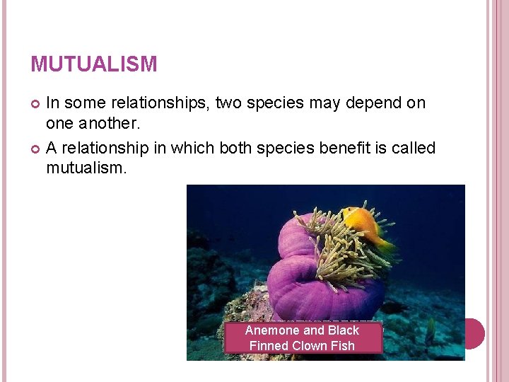 MUTUALISM In some relationships, two species may depend on one another. A relationship in MUTUALISM In some relationships, two species may depend on one another. A relationship in