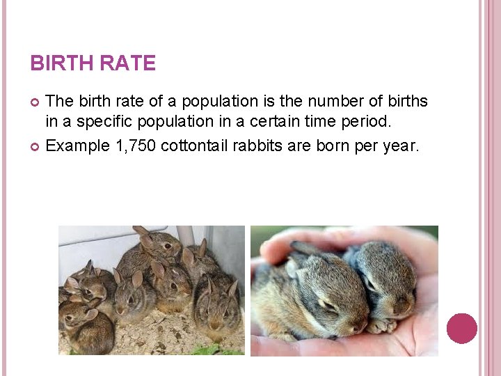 BIRTH RATE The birth rate of a population is the number of births in BIRTH RATE The birth rate of a population is the number of births in
