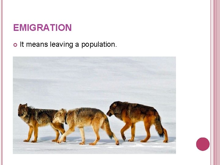 EMIGRATION It means leaving a population. EMIGRATION It means leaving a population.