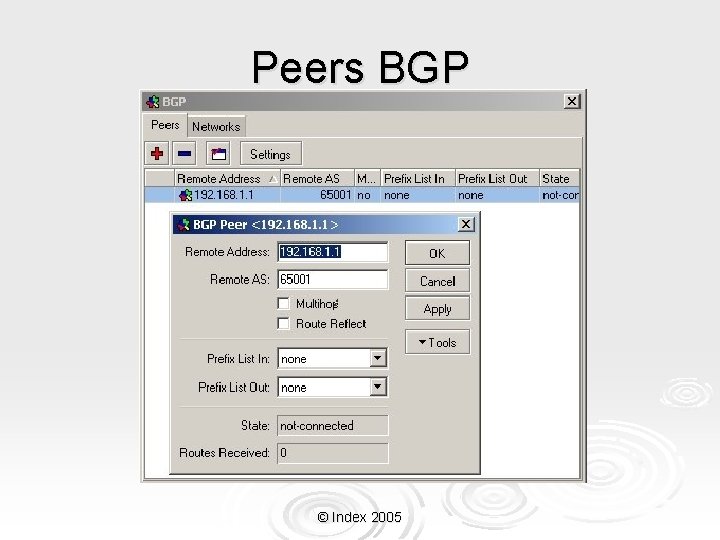 Peers BGP © Index 2005 