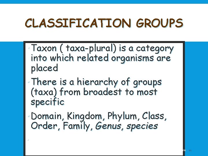 CLASSIFICATION GROUPS • Taxon ( taxa-plural) is a category into which related organisms are