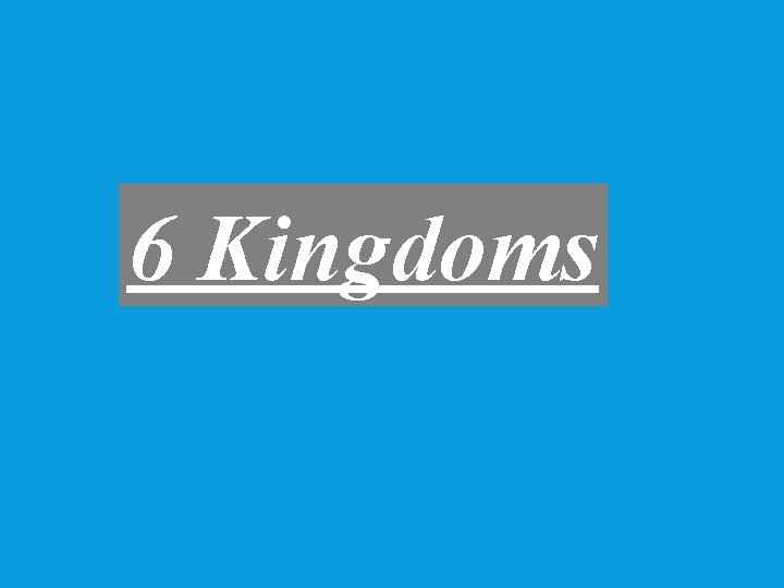 6 Kingdoms 