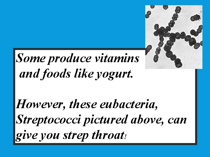 Some produce vitamins and foods like yogurt. However, these eubacteria, Streptococci pictured above, can