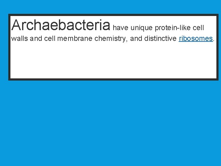 Archaebacteria have unique protein-like cell walls and cell membrane chemistry, and distinctive ribosomes. 