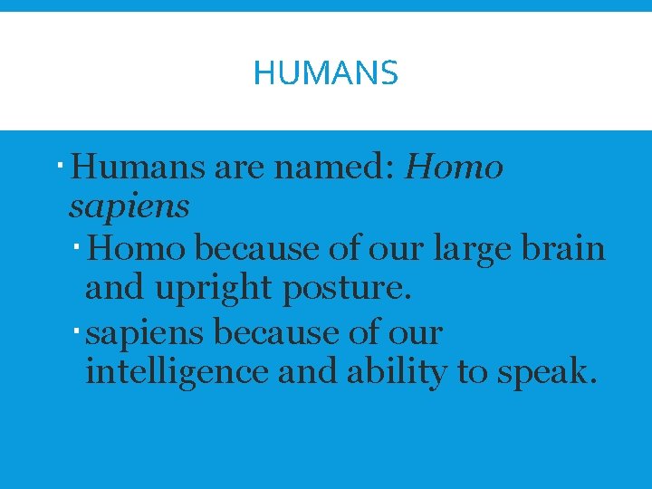 HUMANS Humans are named: Homo sapiens Homo because of our large brain and upright