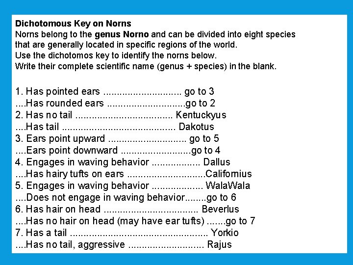 Dichotomous Key on Norns belong to the genus Norno and can be divided into