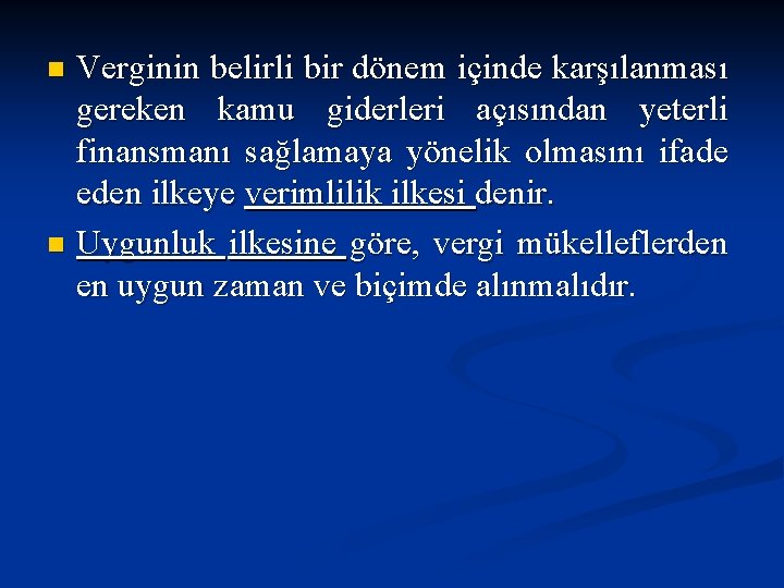 Verginin belirli bir dönem içinde karşılanması gereken kamu giderleri açısından yeterli finansmanı sağlamaya yönelik