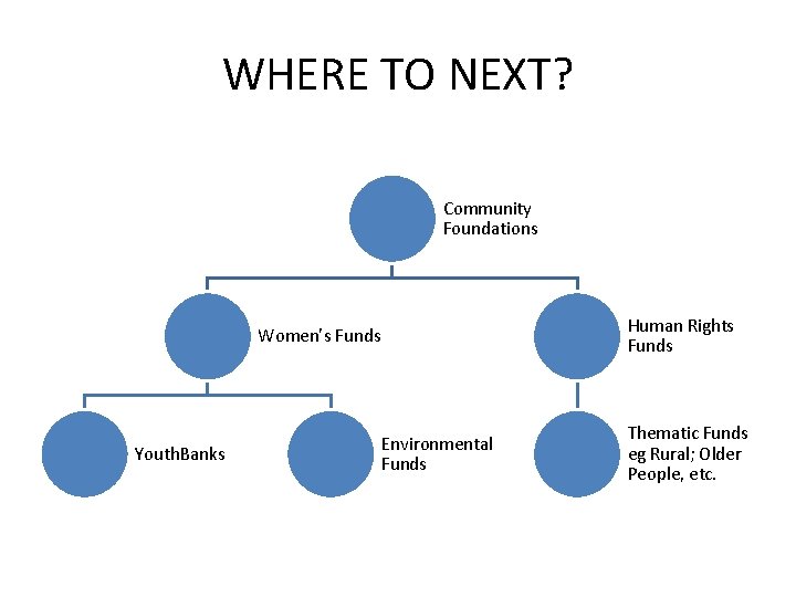 WHERE TO NEXT? Community Foundations Human Rights Funds Women’s Funds Youth. Banks Environmental Funds