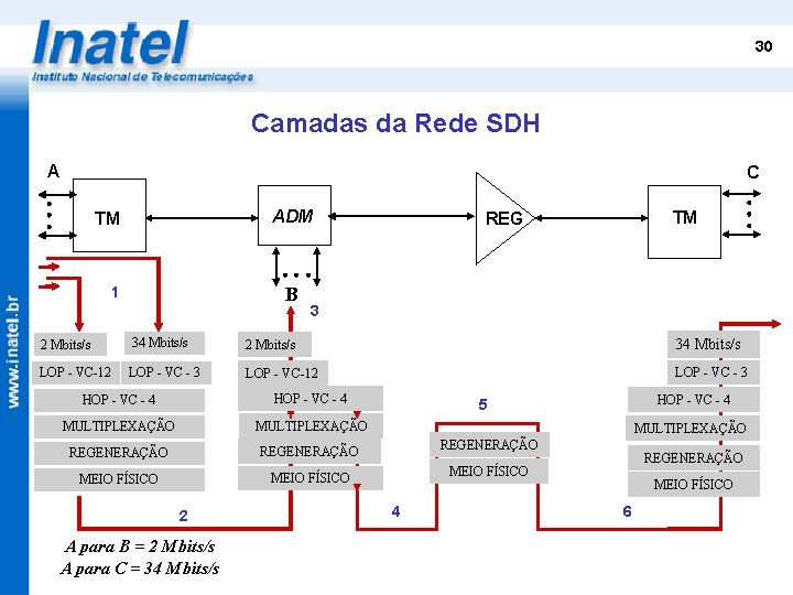 30 Camadas da Rede SDH A C ADM TM B 1 TM REG 3