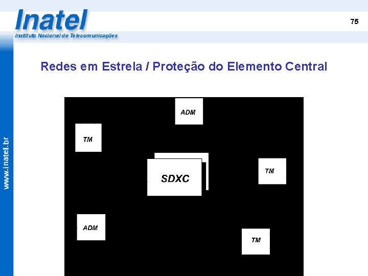 75 Redes em Estrela / Proteção do Elemento Central 