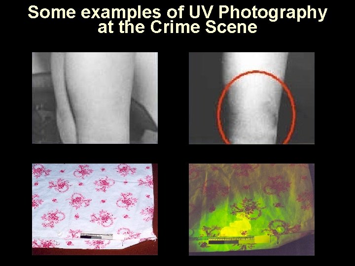 Some examples of UV Photography at the Crime Scene 