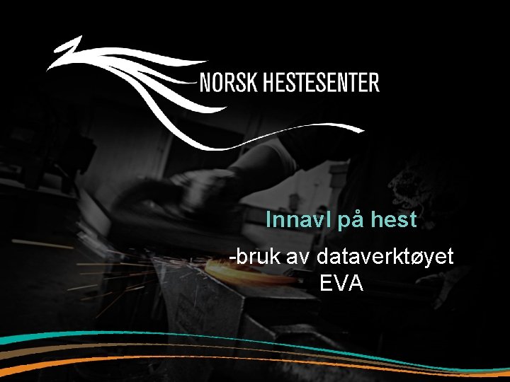 Innavl på hest -bruk av dataverktøyet EVA 